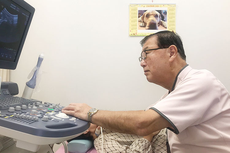 子宮内検査