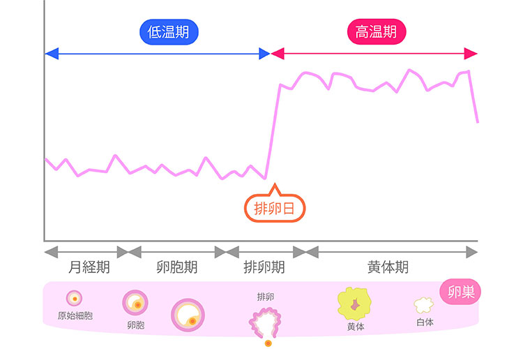 タイミング療法